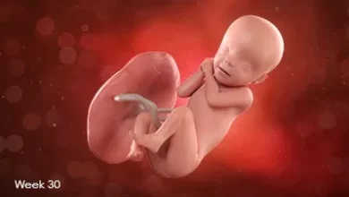 تصویر جنین در هفته سی ام بارداری