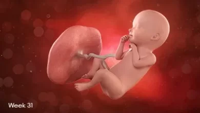 تصویر جنین در هفته سی و یکم بارداری در حال مکیدن انگشتش