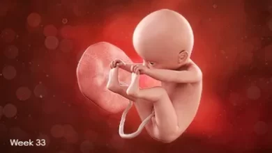تصویر جنین در هفته سی و سوم بارداری
