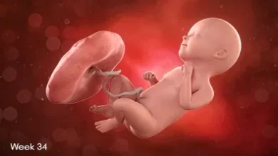 تصویر جنین در هفته سی و چهارم بارداری