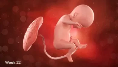 تقویم بارداری: جنین در هفته 22 بارداری