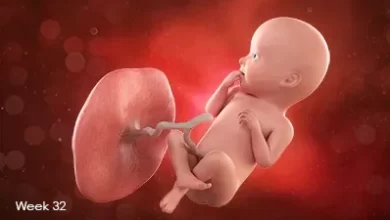 تقویم بارداری: جنین در هفته 32 بارداری