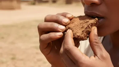 فردی در حال خاک خواری