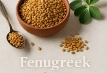 تصویر برگ و دانه های شنبلیله